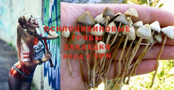 МДМА Белокуриха